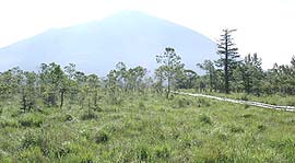 戦場ヶ原から男体山