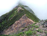 山頂から男体山方向の尾根。ハイマツの緑が鮮やか。