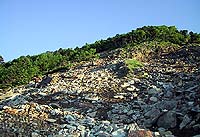 小屋上のガレ場から山頂方向