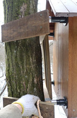 20110129-130618s.jpg