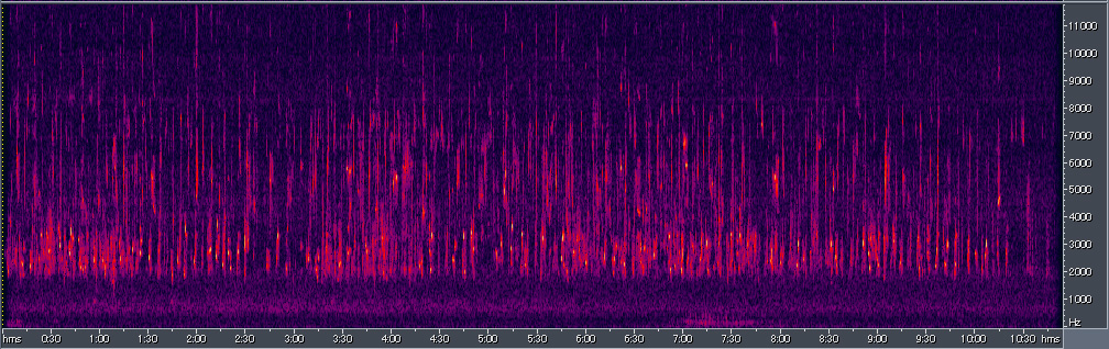 Spectrogram