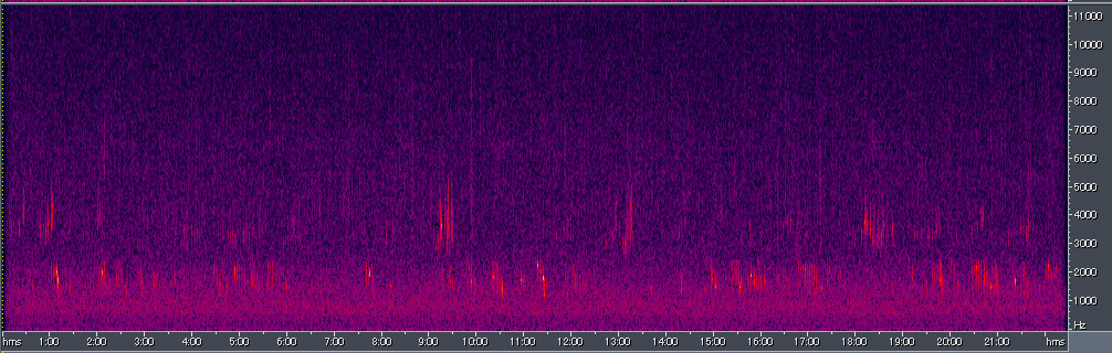 Spectrogram