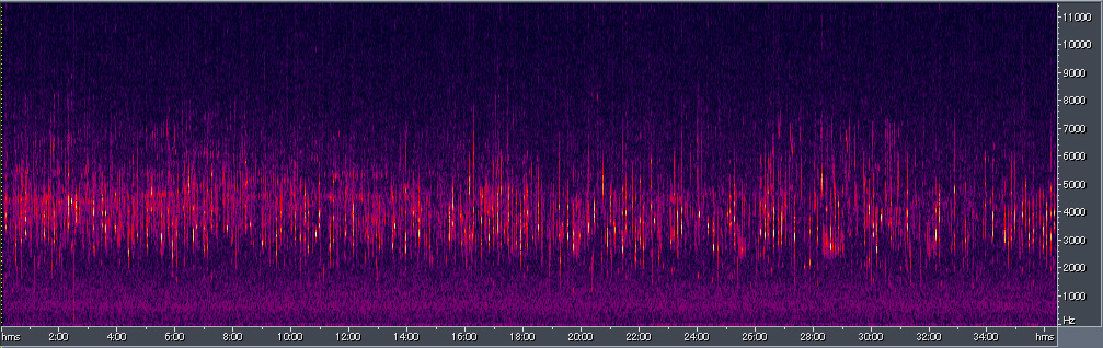 Spectrogram
