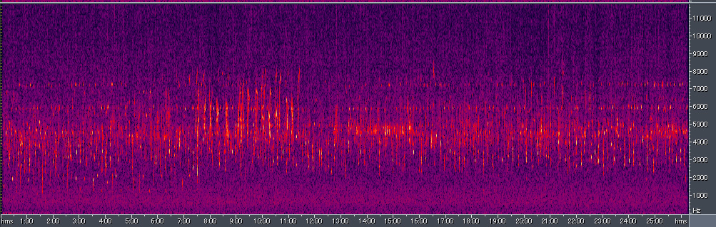Spectrogram