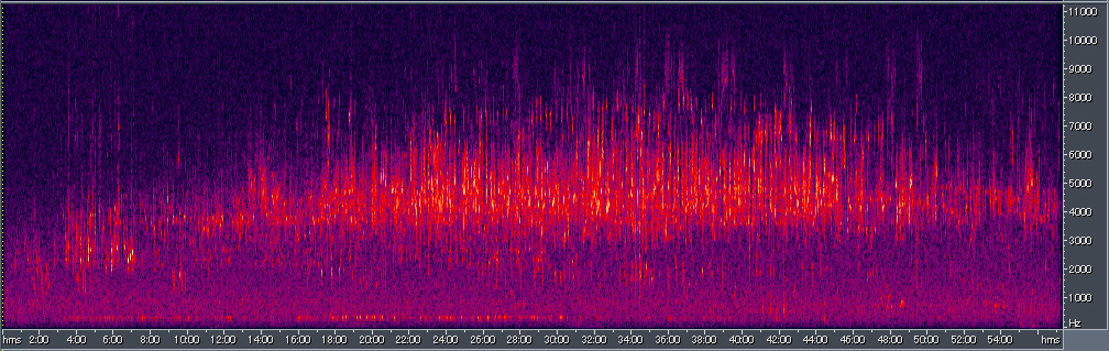 Spectrogram