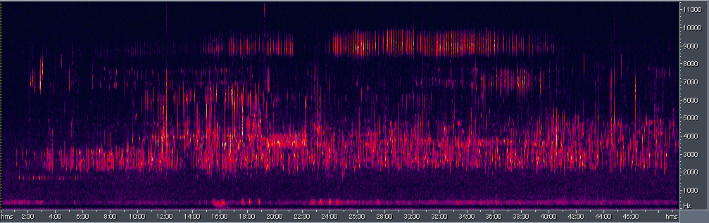 Spectrogram