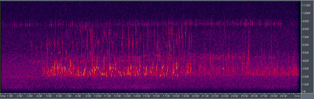 Spectrogram