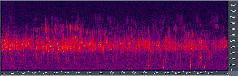 Spectrogram