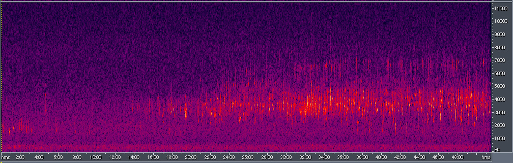 Spectrogram