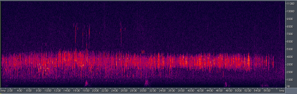 Spectrogram