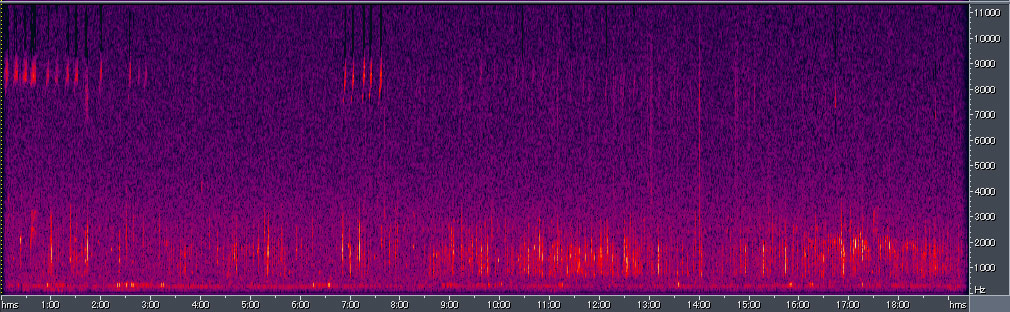 Spectrogram