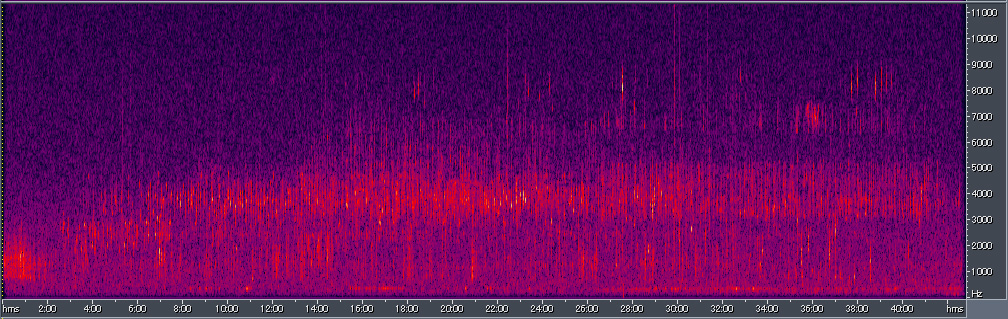Spectrogram